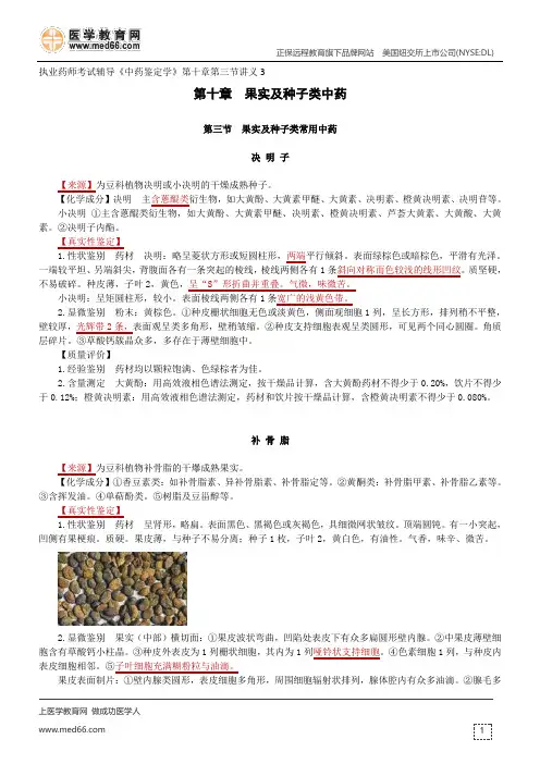 果实及种子类常用中药-执业药师考试辅导《中药鉴定学》第十章第三节讲义3