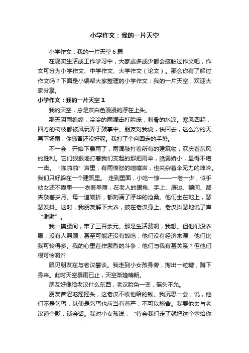 小学作文：我的一片天空6篇