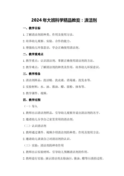2024年大班科学精品教案清洁剂