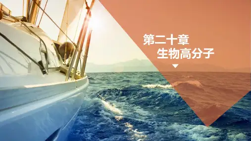 《基础应用化学》课件 第二十章-生物高分子