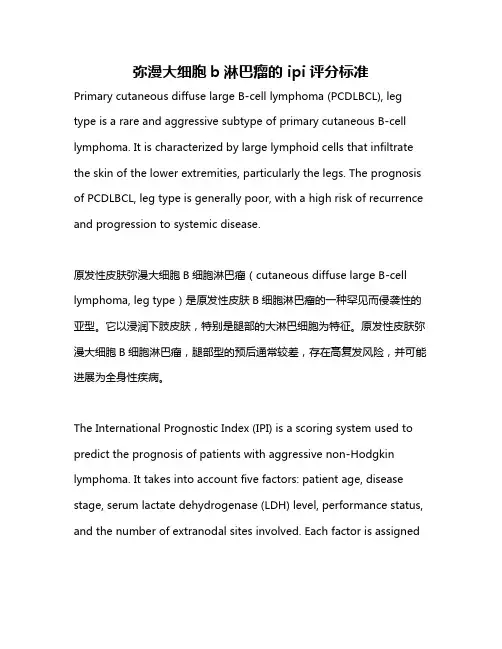 弥漫大细胞b淋巴瘤的 ipi评分标准