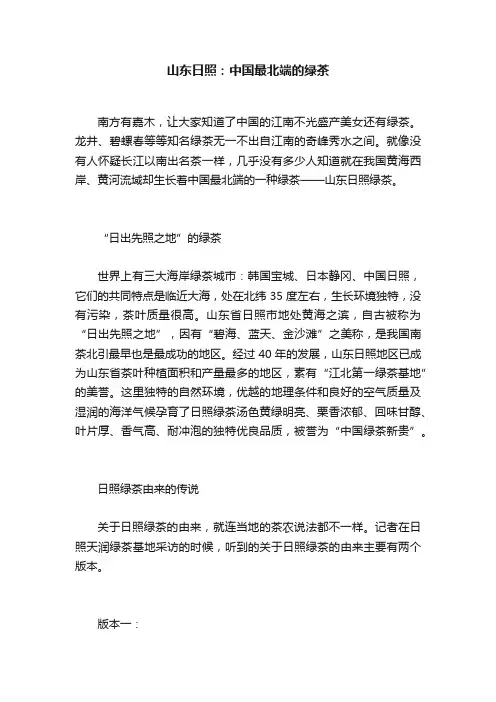 山东日照：中国最北端的绿茶