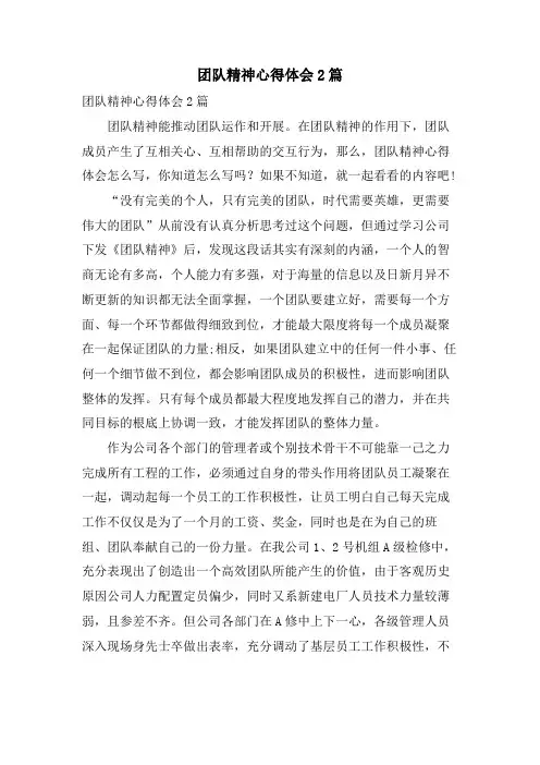 团队精神心得体会2篇