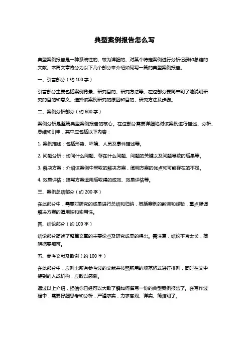 典型案例报告怎么写
