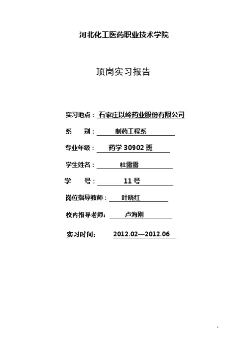 实习报告