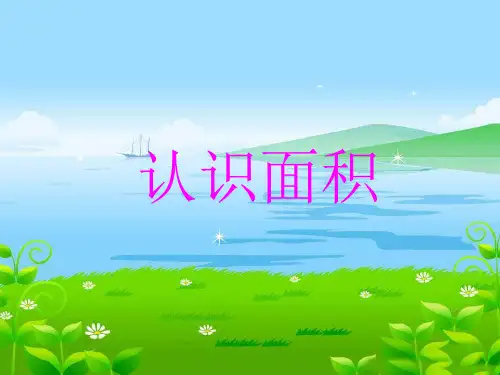 三年级上册数学课件-4.24 认识面积丨浙教版 (共15张PPT)