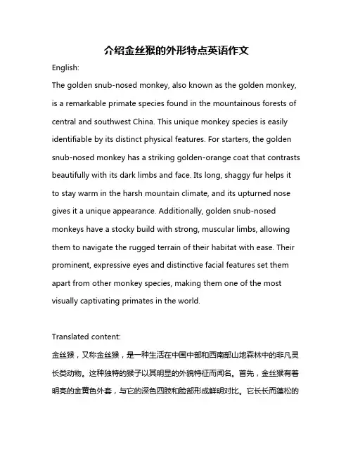 介绍金丝猴的外形特点英语作文