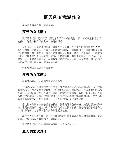 夏天的玄武湖作文