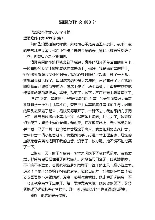 温暖陪伴作文600字4篇