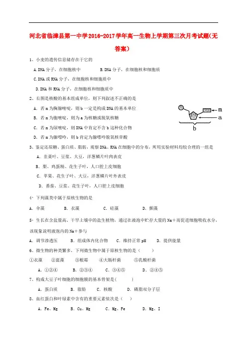 河北省临漳县第一中学高一生物上学期第三次月考试题(