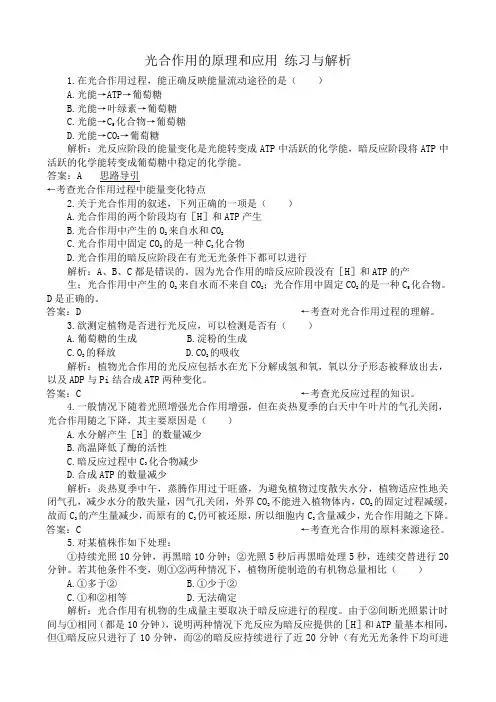 新人教版高中生物必修1光合作用的原理和应用 练习与解析