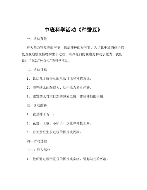 中班科学活动《种蚕豆》