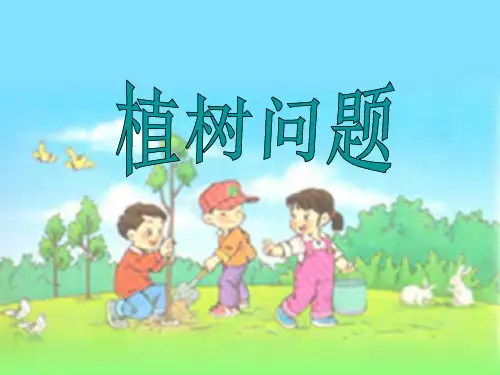 经典：植树问题-求总长