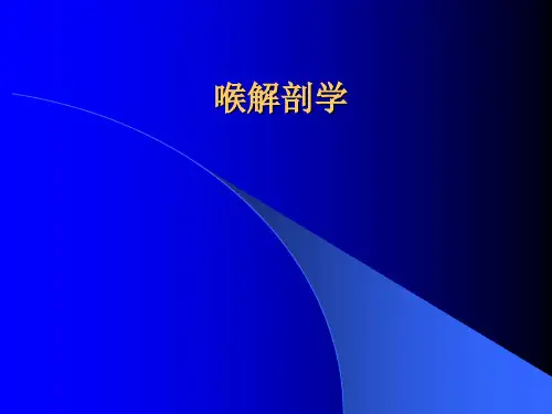 喉解剖学