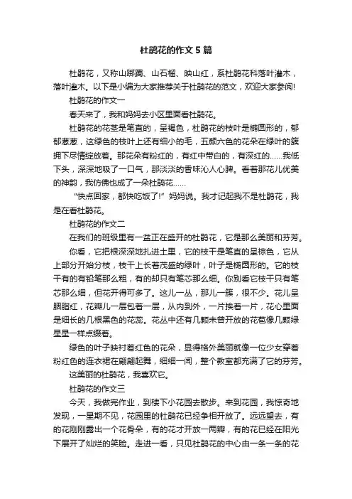 杜鹃花的作文5篇