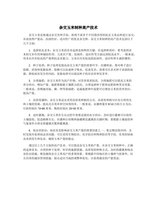 杂交玉米制种高产技术
