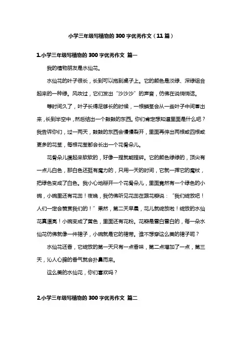 小学三年级写植物的300字优秀作文(11篇)