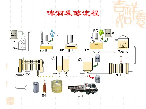 啤酒4-麦芽汁制备