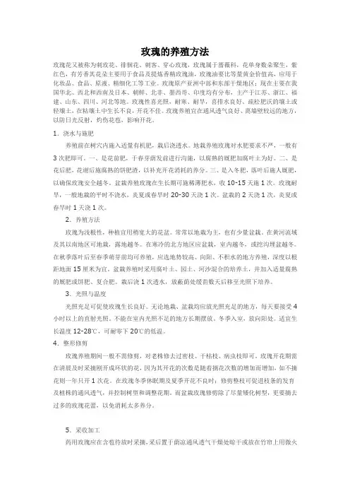 玫瑰的养殖方法