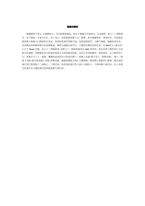 胰腺的解剖
