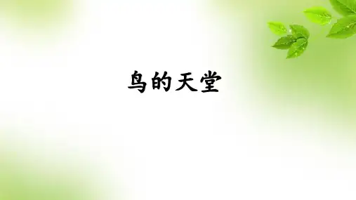 统编版五年级语文上册23鸟的天堂课件(共26张PPT)