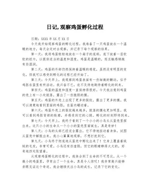 日记,观察鸡蛋孵化过程