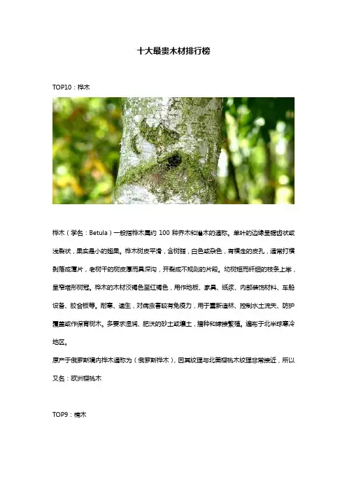 十大最名贵木材排行榜