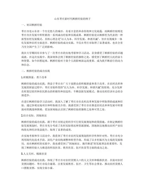 山东枣庄新时代枫桥经验的例子