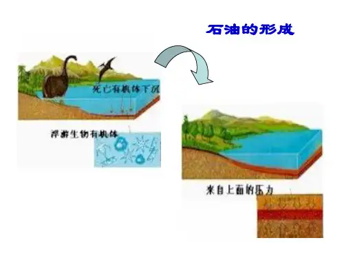 石油和天然气的综合利用