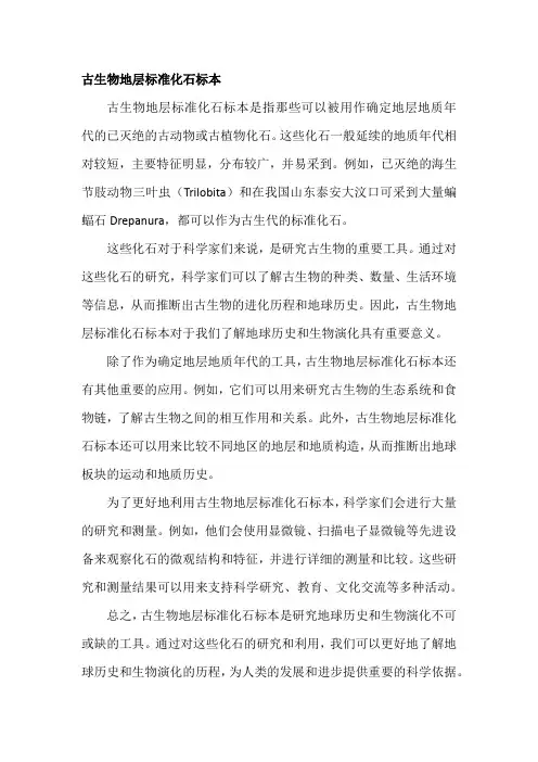 古生物地层标准化石标本