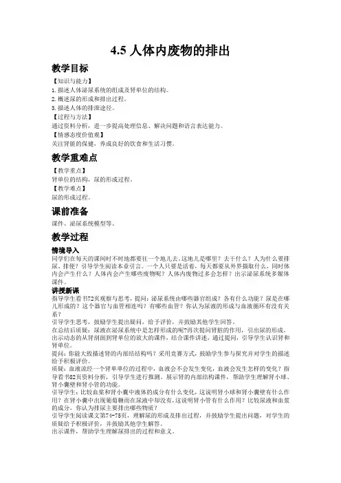 初中生物人教版七年级下册4.5人体内废物的排出 教案 教学设计