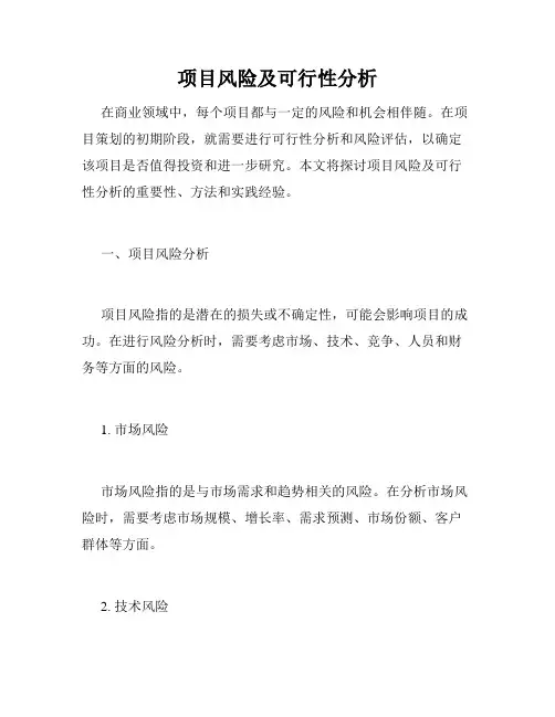 项目风险及可行性分析
