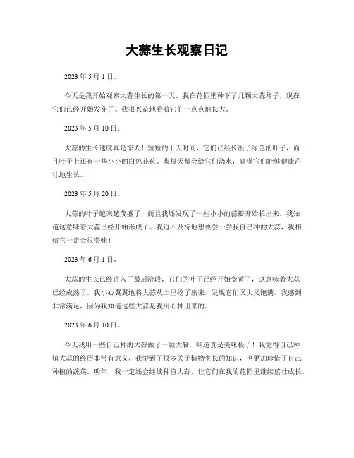 大蒜生长观察日记