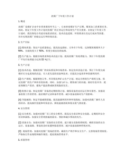 洗煤厂下年度工作计划
