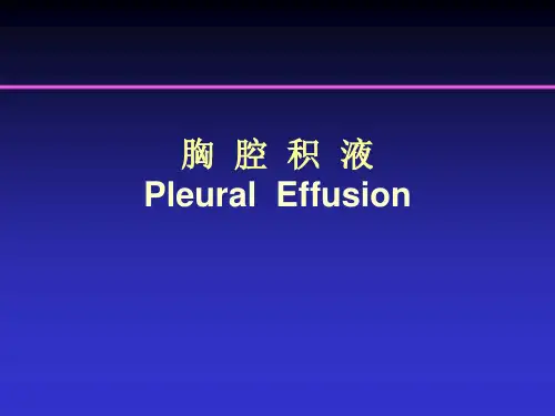 胸水的循环机制