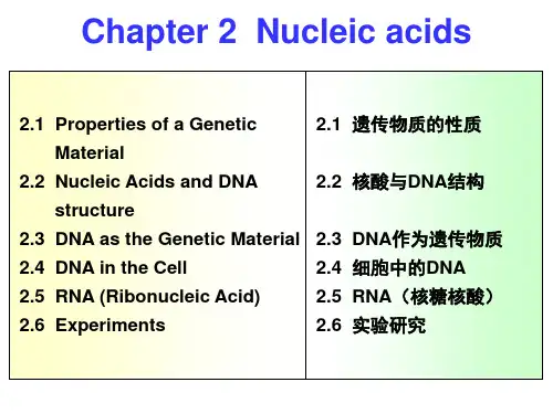英汉对照分子生物学导论课件Sample