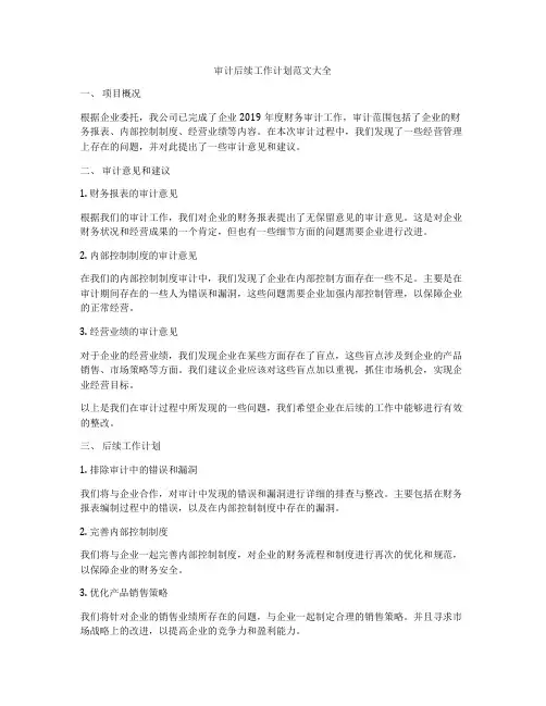 审计后续工作计划范文大全