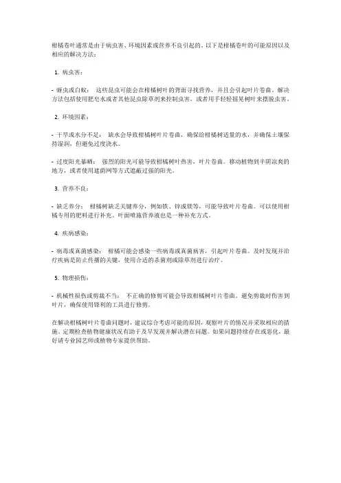 柑橘卷叶原因及解决方法