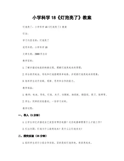 小学科学18《灯泡亮了》教案