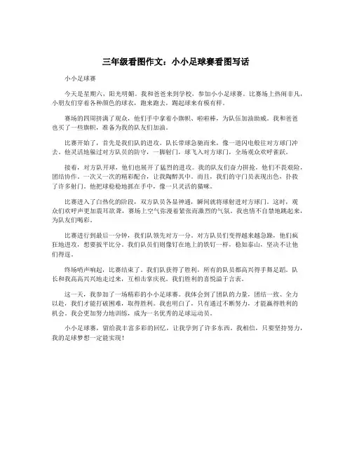 三年级看图作文：小小足球赛看图写话