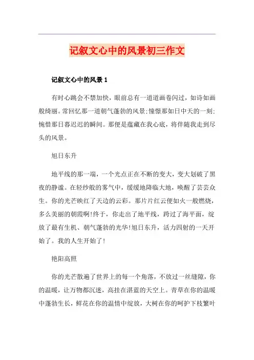 记叙文心中的风景初三作文