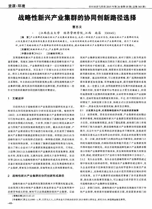 战略性新兴产业集群的协同创新路径选择