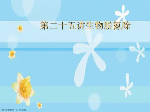 第二十五讲生物脱氮除