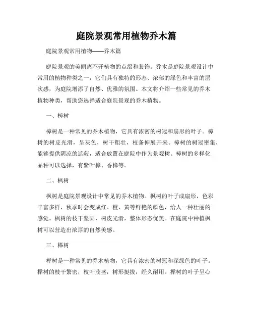 庭院景观常用植物乔木篇