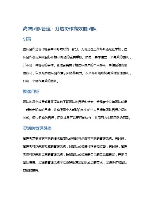 高效团队管理：打造协作高效的团队