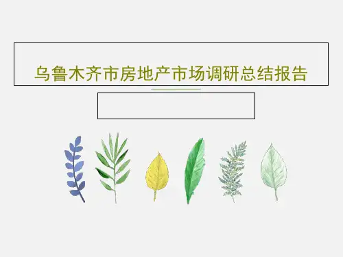 乌鲁木齐市房地产市场调研总结报告共16页