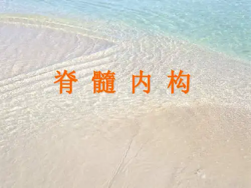 脊髓内构、脑干外形li