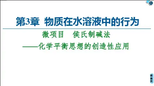 第3章揭秘侯氏制碱法——化学平衡思想的创造性应用