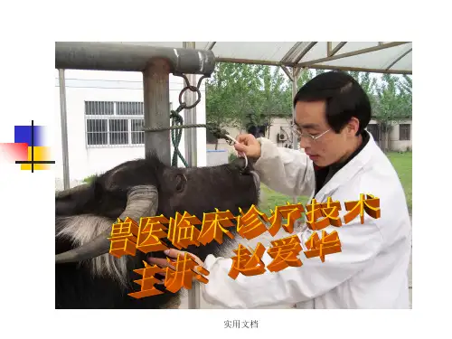 兽医临床诊疗技术绪言
