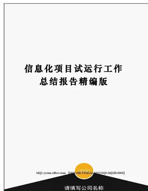 信息化项目试运行工作总结报告精编版